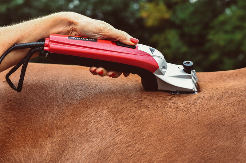 BLACK BEAUTY - Liveryman Clippers image #3