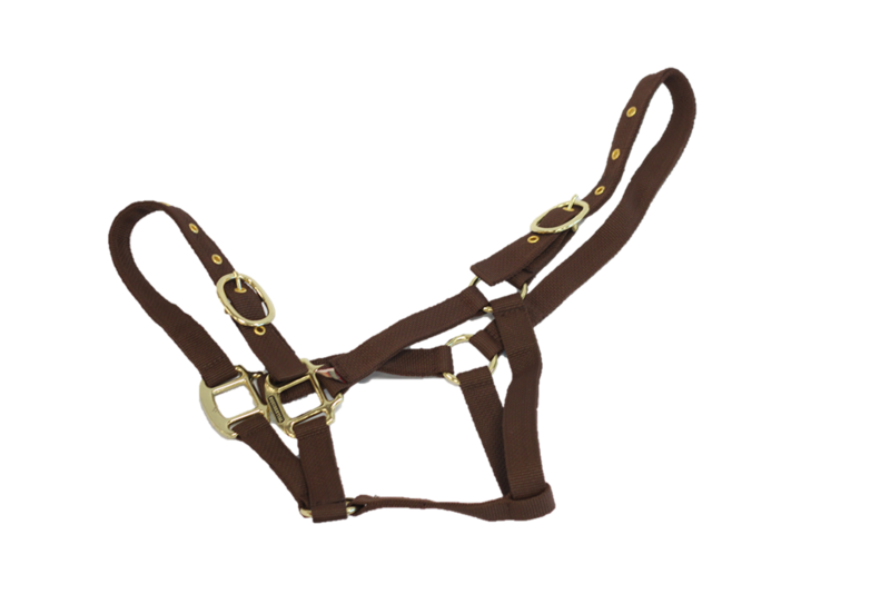 EquiSential Nylon Headcollar image #2