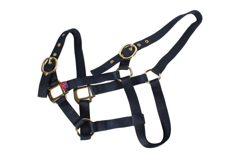 EquiSential Nylon Headcollar image #3