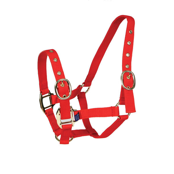 EquiSential Nylon Headcollar image #4