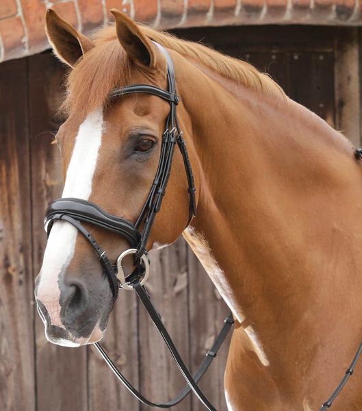 Favoloso Anatomic Bridle with Crank Noseband image #1