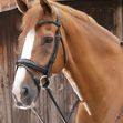 Favoloso Anatomic Bridle with Crank Noseband image #1