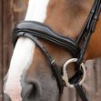 Favoloso Anatomic Bridle with Crank Noseband image #2