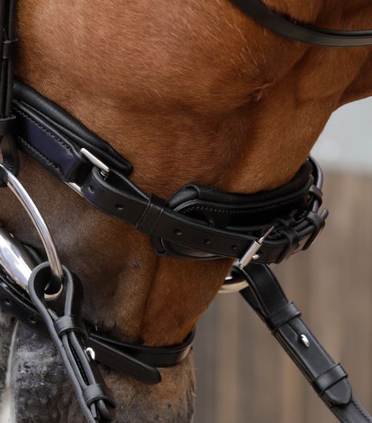 Favoloso Anatomic Bridle with Crank Noseband image #3