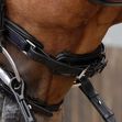 Favoloso Anatomic Bridle with Crank Noseband image #3