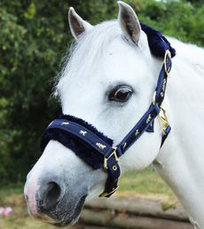 Cob Hy Deluxe Padded Head Collar Full Pony 