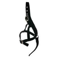 foal slip halter 