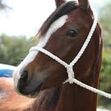 Traditional White Rope Halter  image #1