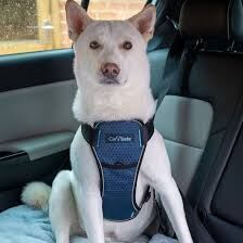 Car Safe Crash Tested Harness