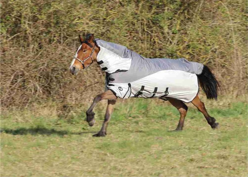 JUMP Hybrid Fly Rug image #2