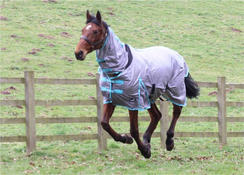 JUMP ALL IN ONE FLY RUG image #3