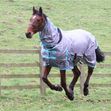 JUMP ALL IN ONE FLY RUG image #3