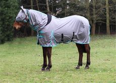 JUMP ALL IN ONE FLY RUG