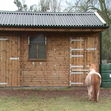 Compact Pony Stable with Adjoining Tack Room  image #2