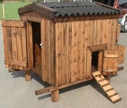 Chicken Coop