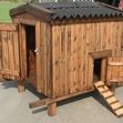 Chicken Coop