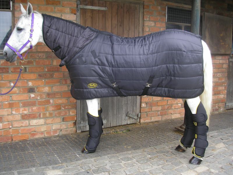 Gallop Maverick Combo Rug with Travel Boots