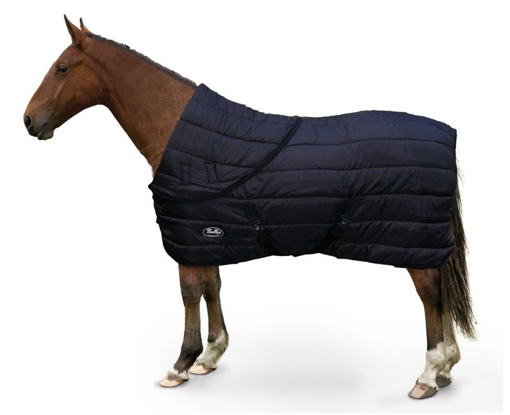 Gallop Maverick Combo Rug with Folded Neck