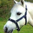 Navy Nylon Headcollar and Leadrope Set