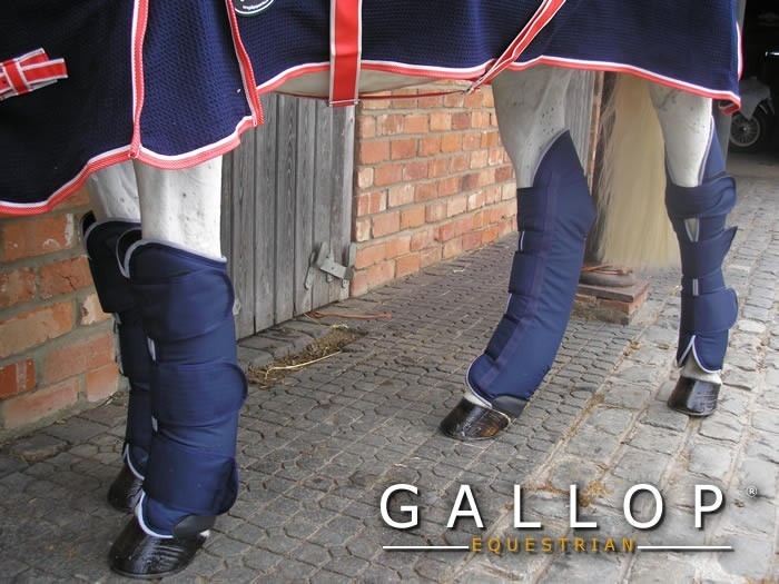 Gallop Travel Boots - Navy image #2