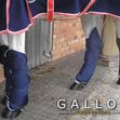 Gallop Travel Boots - Navy image #2