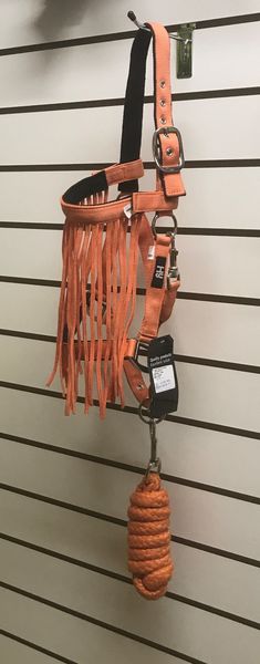 Orange Head Collar, Lead Rop & Fly Veil Set