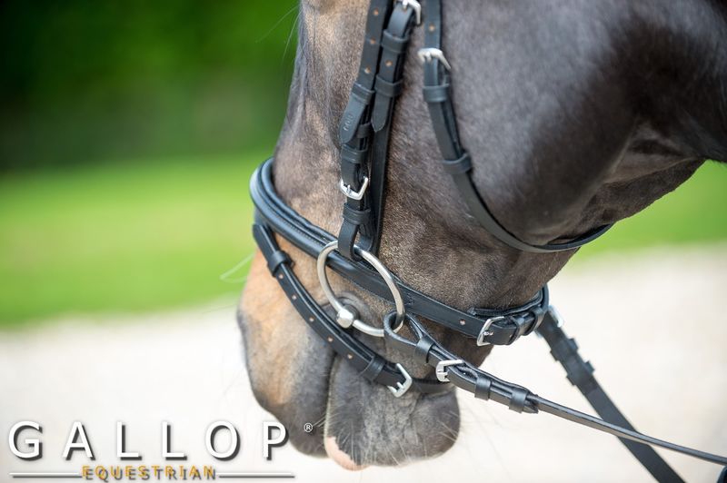 Padded Bridle and Rubber Reins image #2