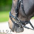 Padded Bridle and Rubber Reins image #2