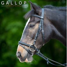 Padded Bridle and Rubber Reins