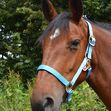 Padded Headcollar - Pony image #1