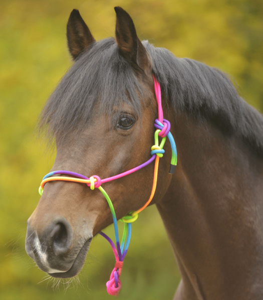 Paretti Rope Halter image #2