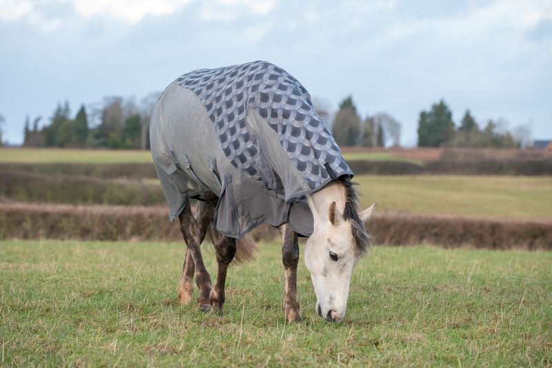 Patterned Turnout Fly Rug image #2