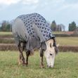 Patterned Turnout Fly Rug image #2