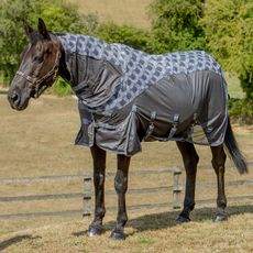 Patterned Turnout Fly Rug