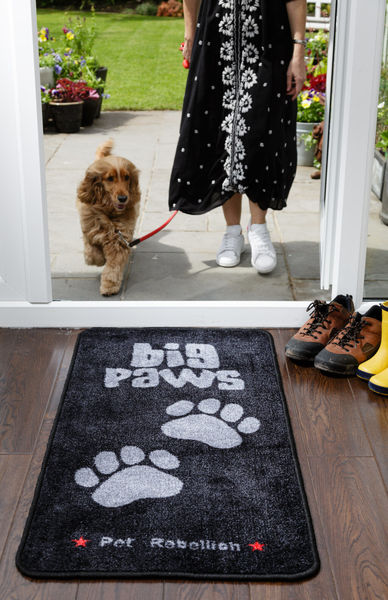 Big Paws Runner image #3