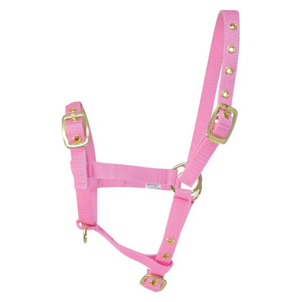 pink- foal head collar