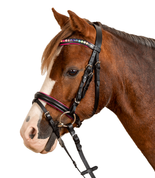 Star Bridle Pinky image #2