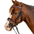 Star Bridle Pinky image #2