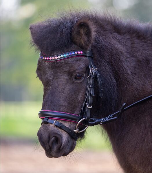 Star Bridle Pinky image #1