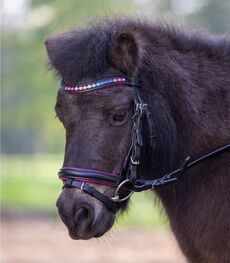 Star Bridle Pinky