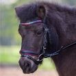 Star Bridle Pinky image #1