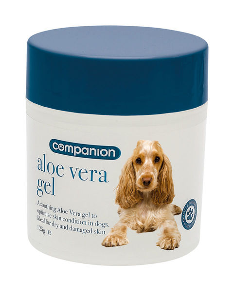 Companion Aloe Vera Gel