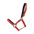 Hy Fieldsafe Small Pony & Foal Head Collar image #4