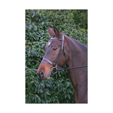 Hy Hunter Bridle with Rubber Grip Reins