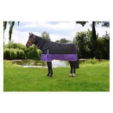 StormX Original 200 Turnout Rug with Detachable Neck Cover