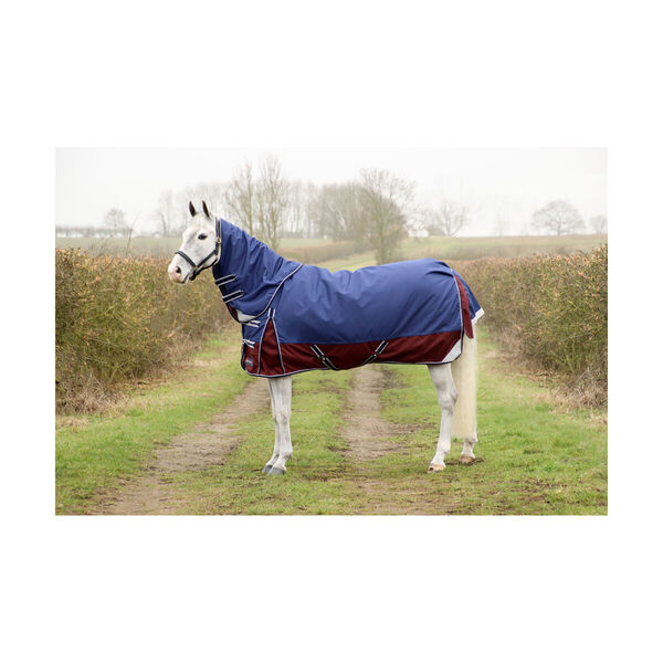 DefenceX 450 Turnout Rug 3 in 1 image #1