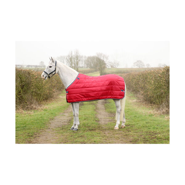 DefenceX 450 Turnout Rug 3 in 1 image #3