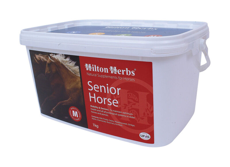 Hilton Herbs Senior Horse image #1