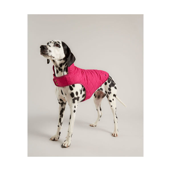 Joules Quilted Dog Coat image #1