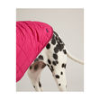 Joules Quilted Dog Coat image #2